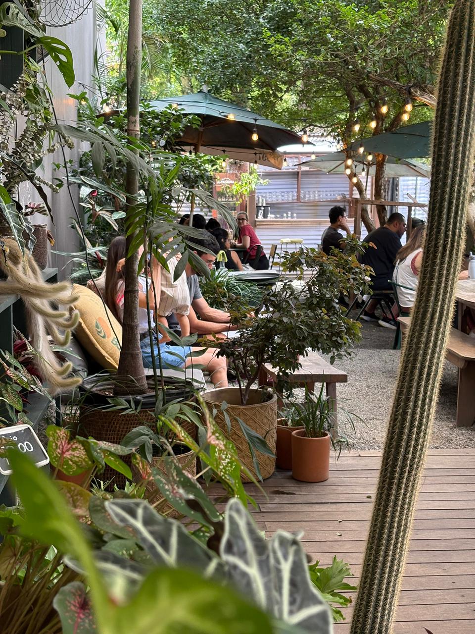 Detalhe do espaço da Ginkgo