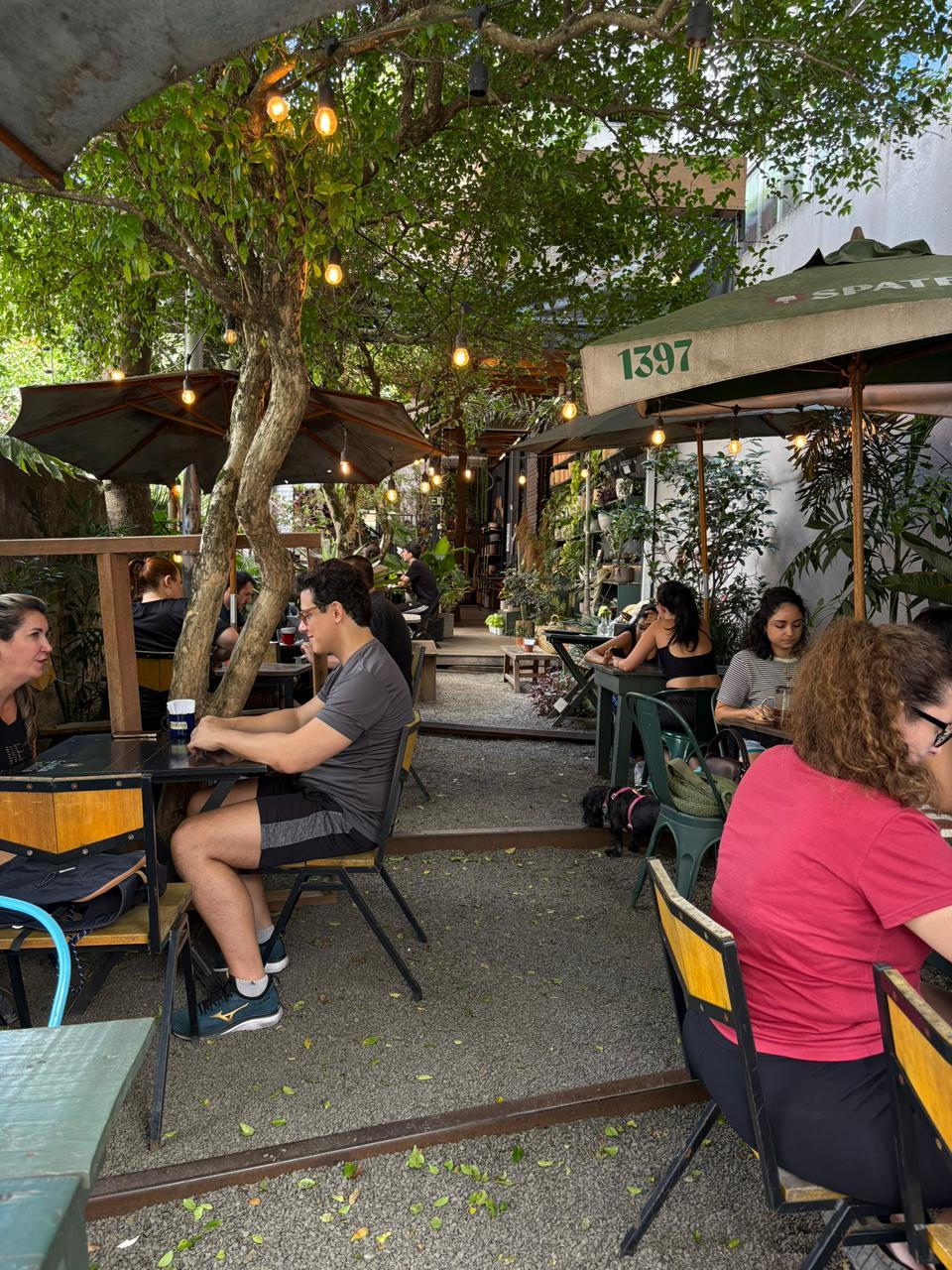 Ambiente externo com vegetação