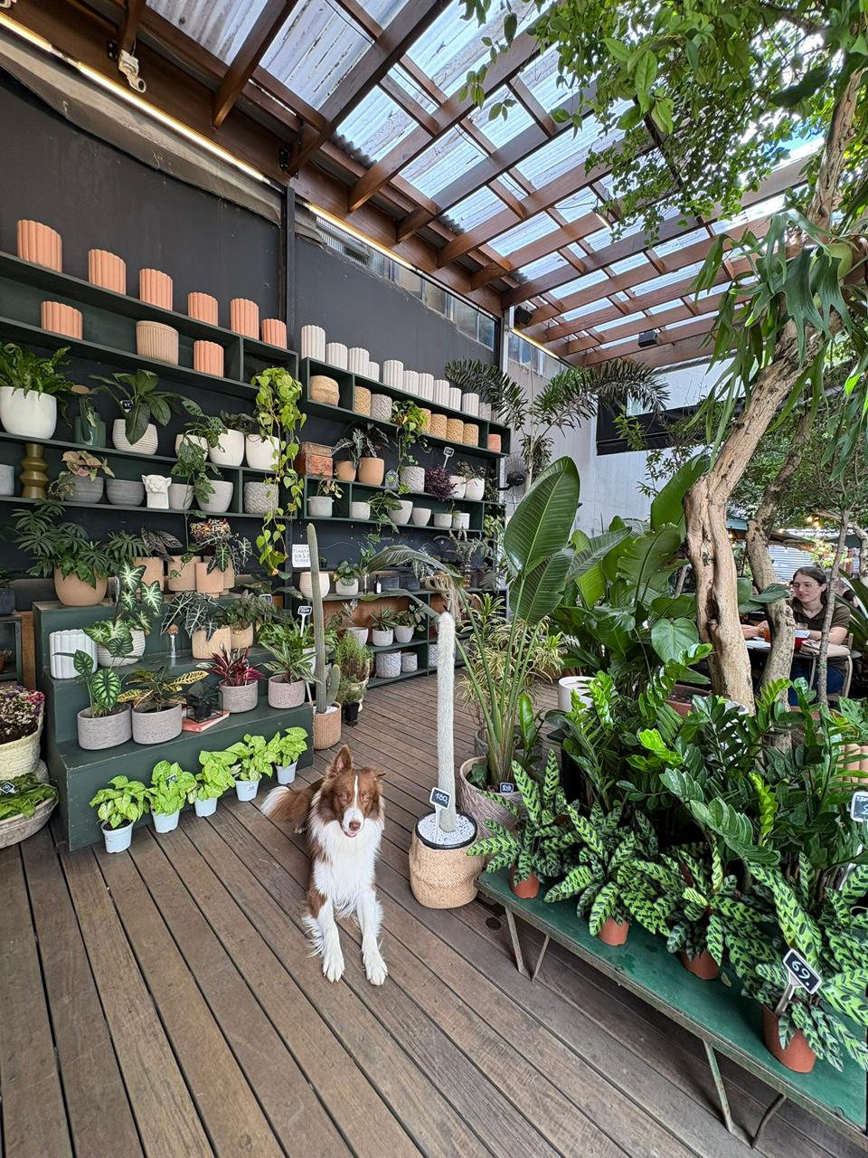 Ambiente interno com plantas e luz natural
